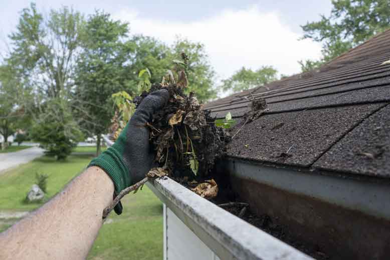 7 Handy Tips for Cleaning Your Gutters