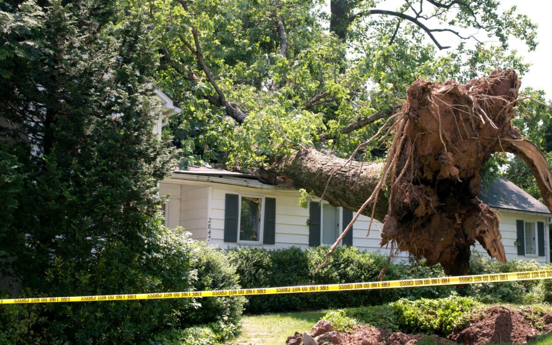 The Importance of Roof Inspections After a Storm
